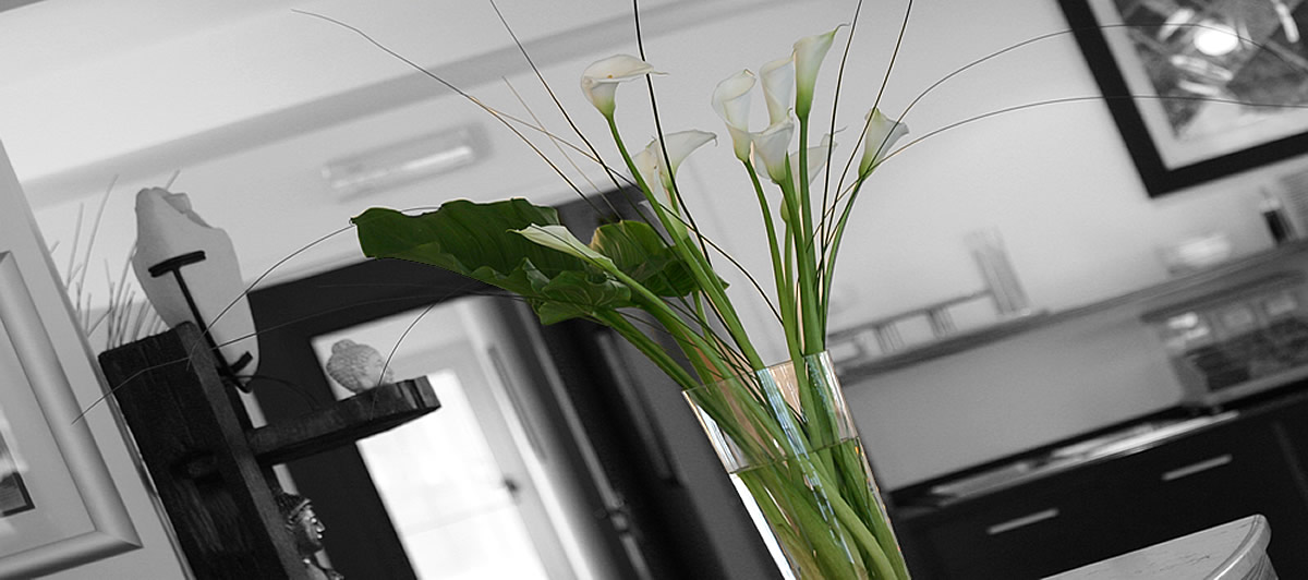 Reception dell'hotel Anapaya